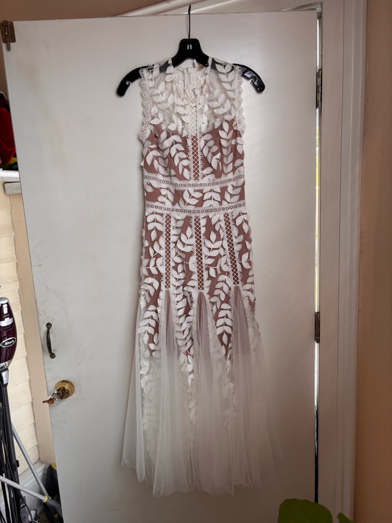 Bronx And Banco White Lace Appliqu Maxi Gown With Nude Lining
